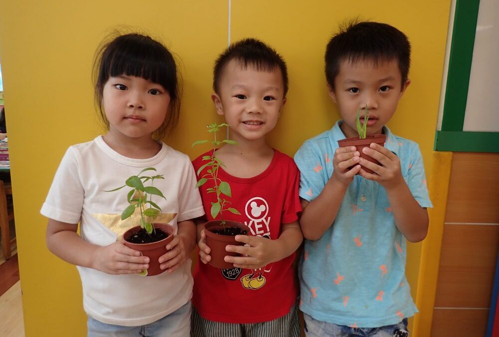 20180912菲力中興幼兒園：用愛灌溉，一起體驗成長的酸甜苦辣